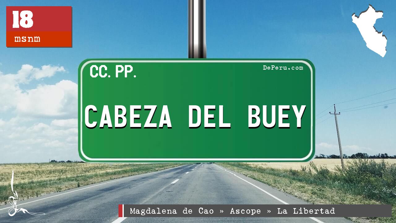 CABEZA DEL BUEY