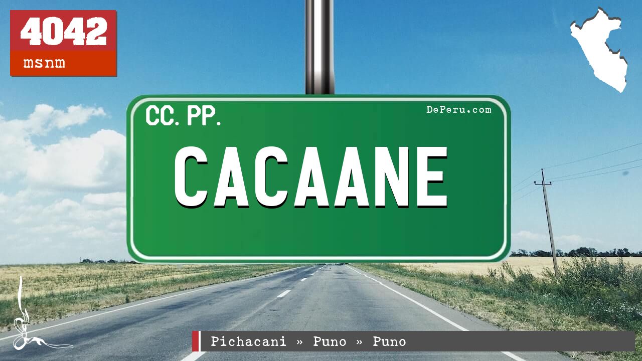 Cacaane