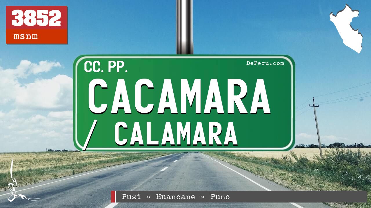 Cacamara / Calamara