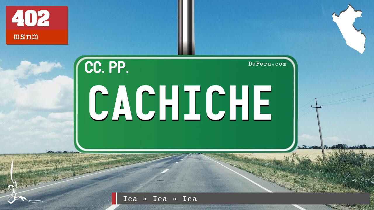 CACHICHE