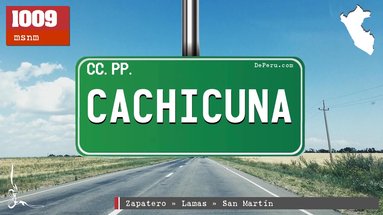 Cachicuna