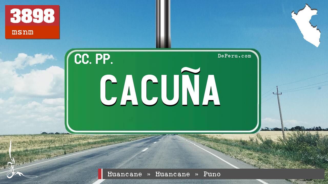 Cacua