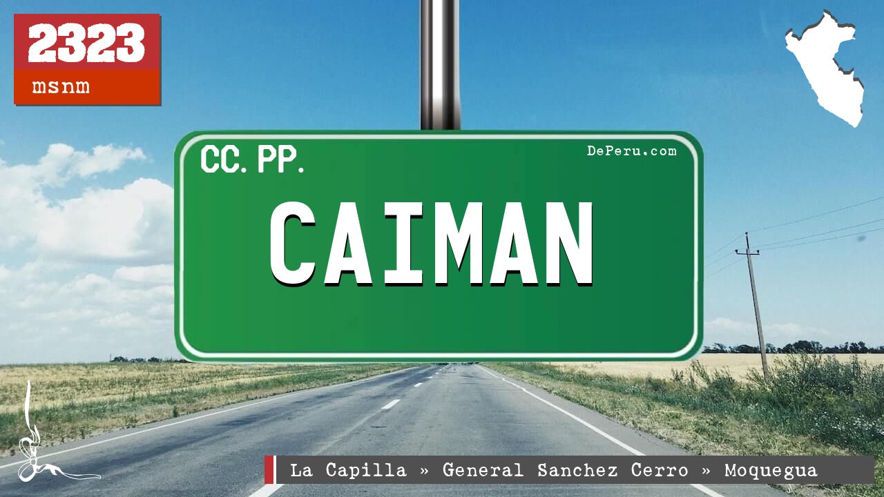 Caiman