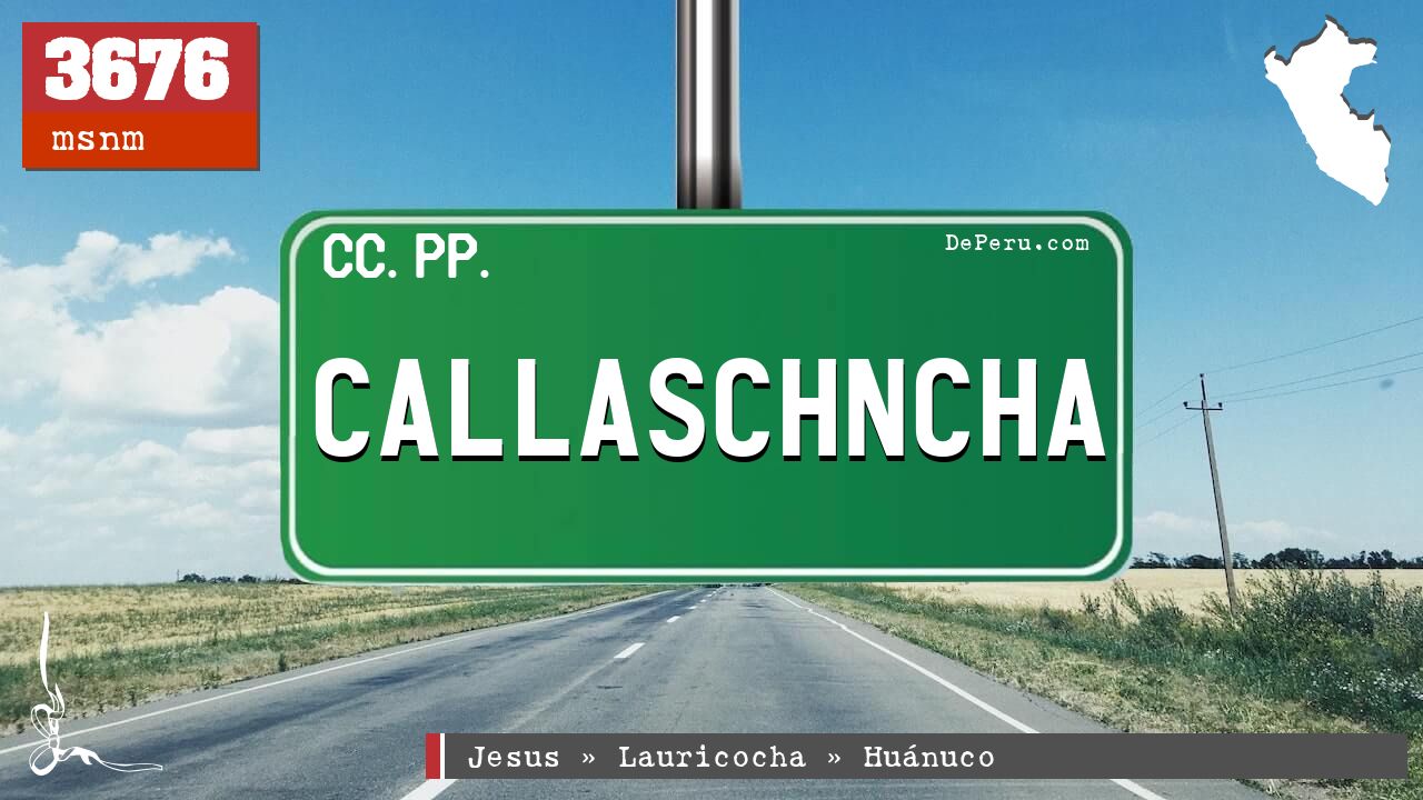 Callaschncha