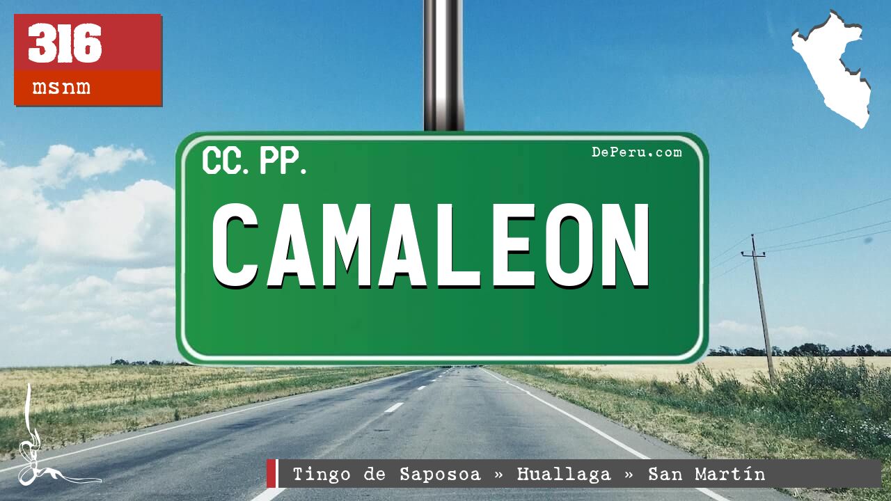 CAMALEON
