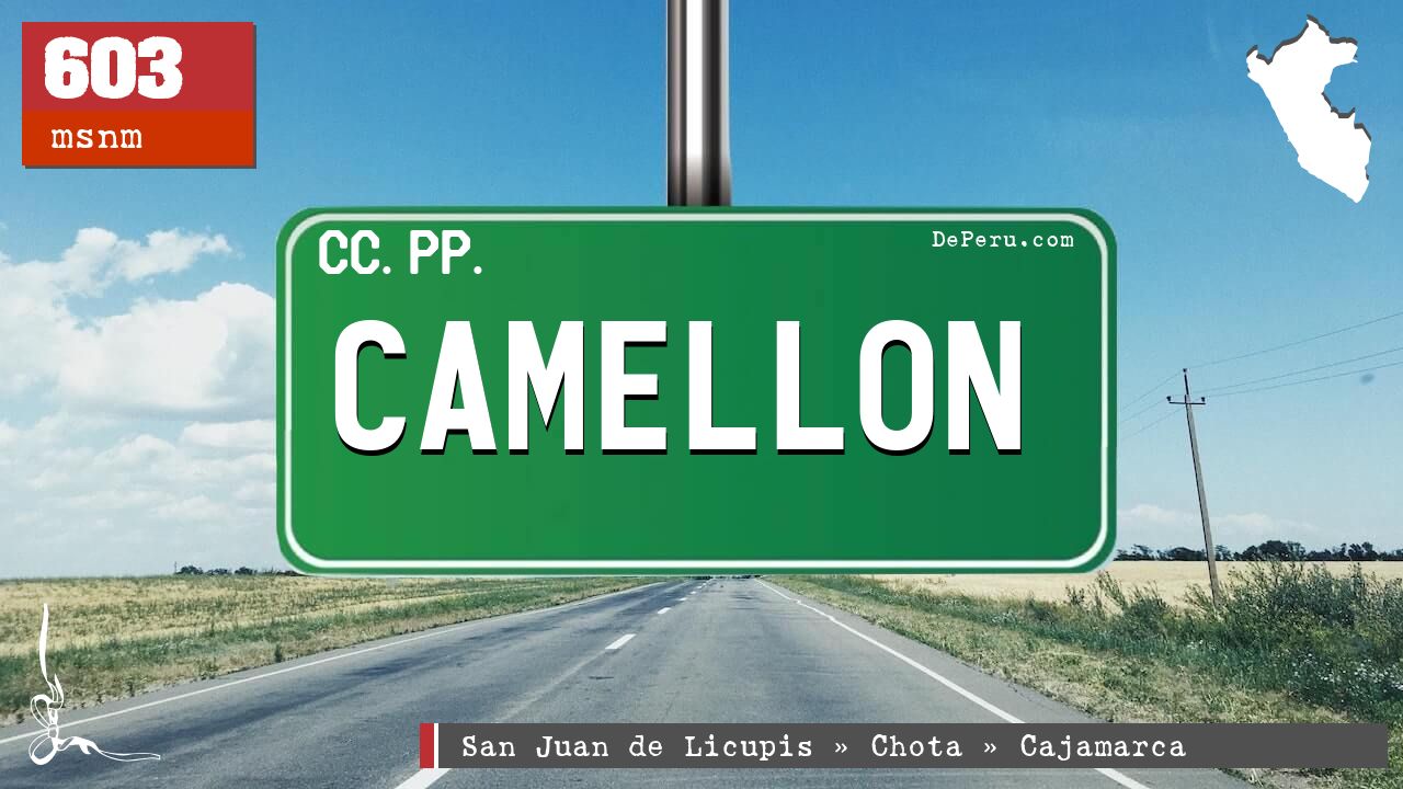 CAMELLON
