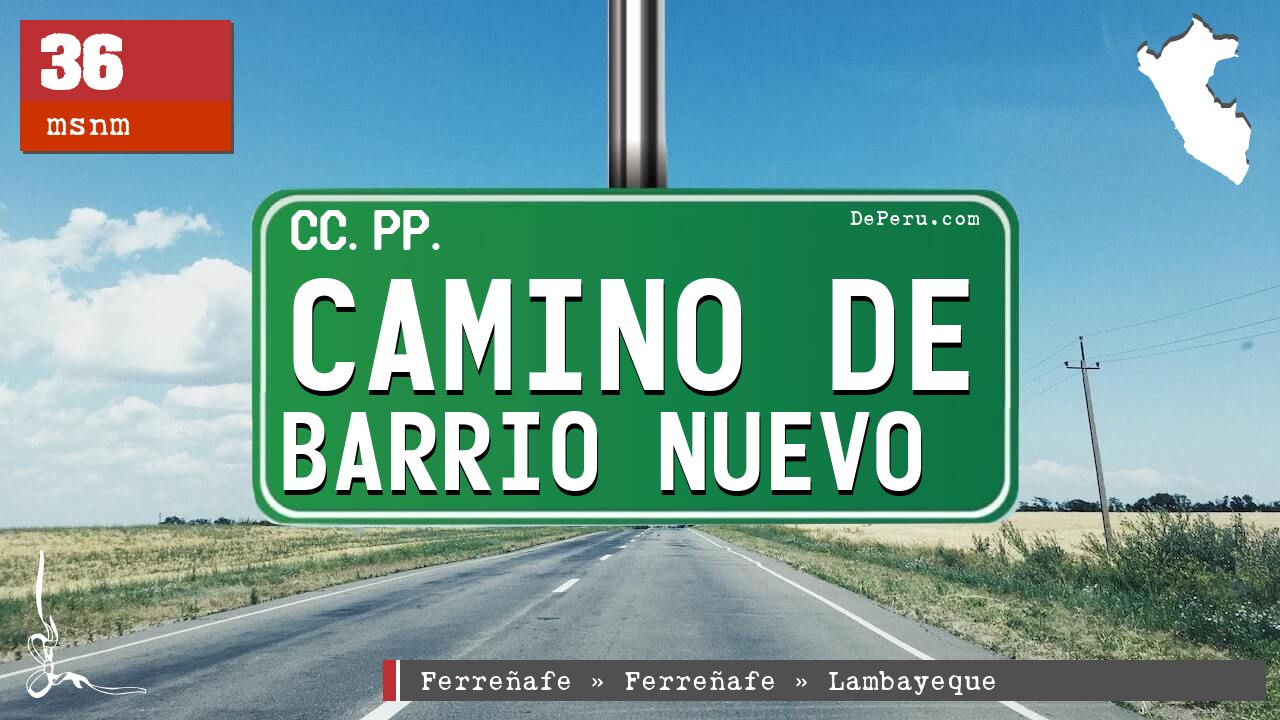 CAMINO DE