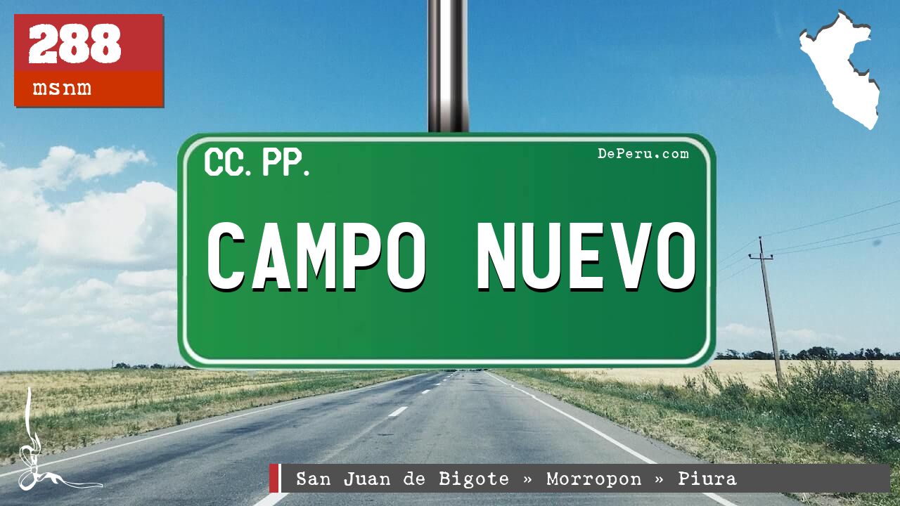 CAMPO NUEVO