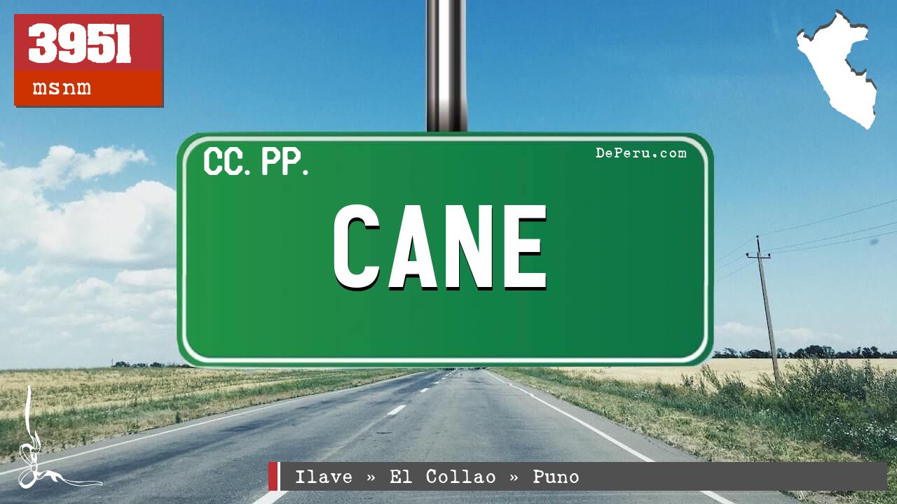 Cane