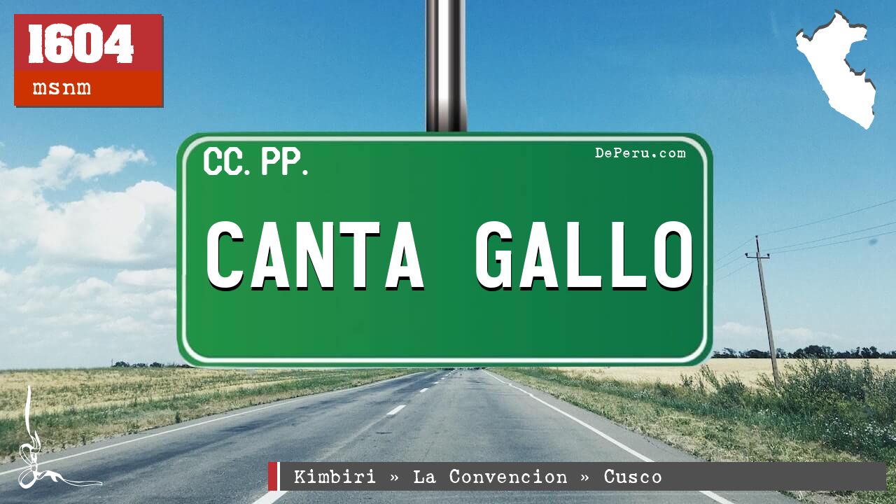 CANTA GALLO