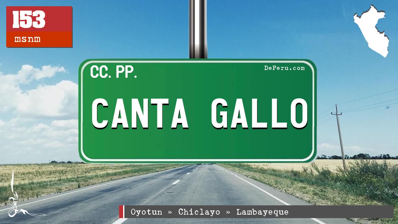 Canta Gallo