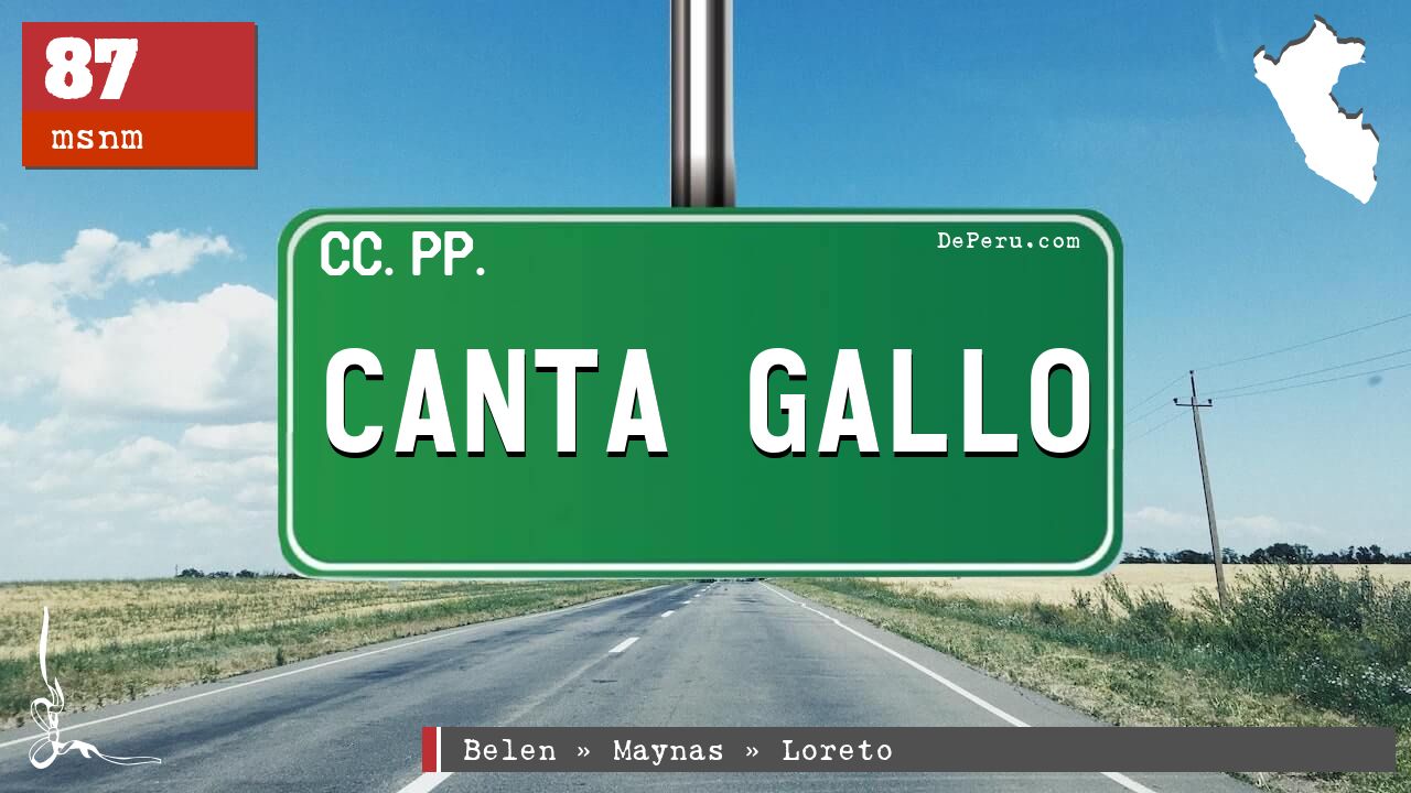 Canta Gallo