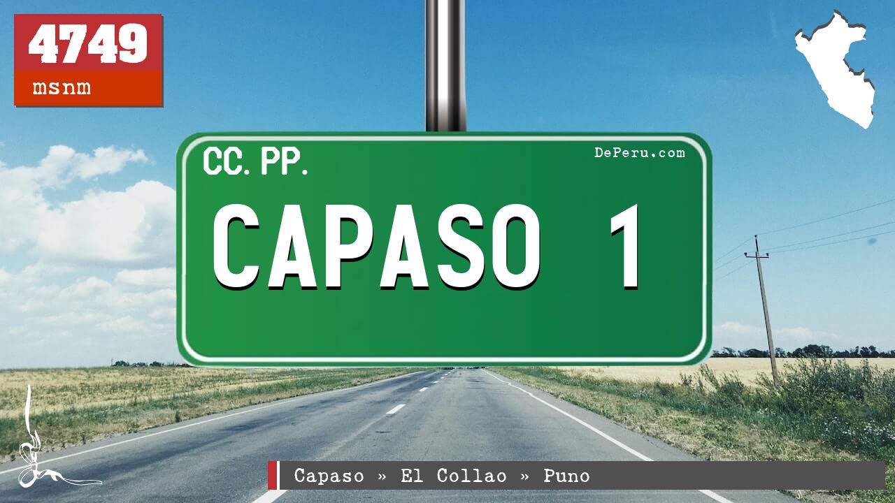 CAPASO 1