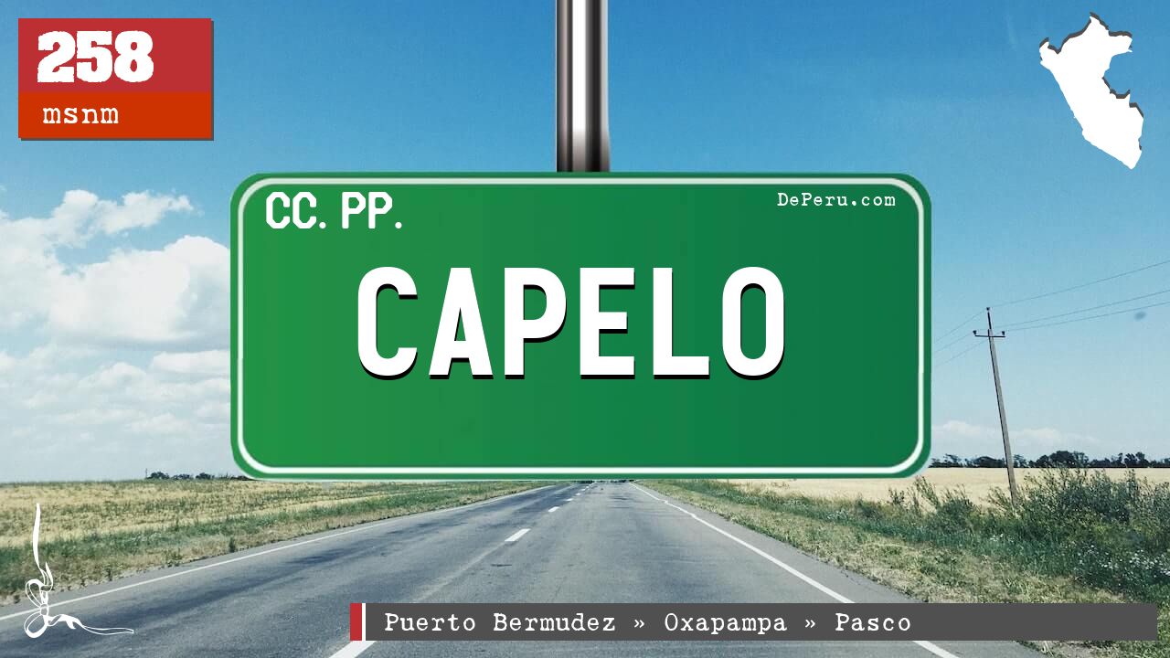 Capelo