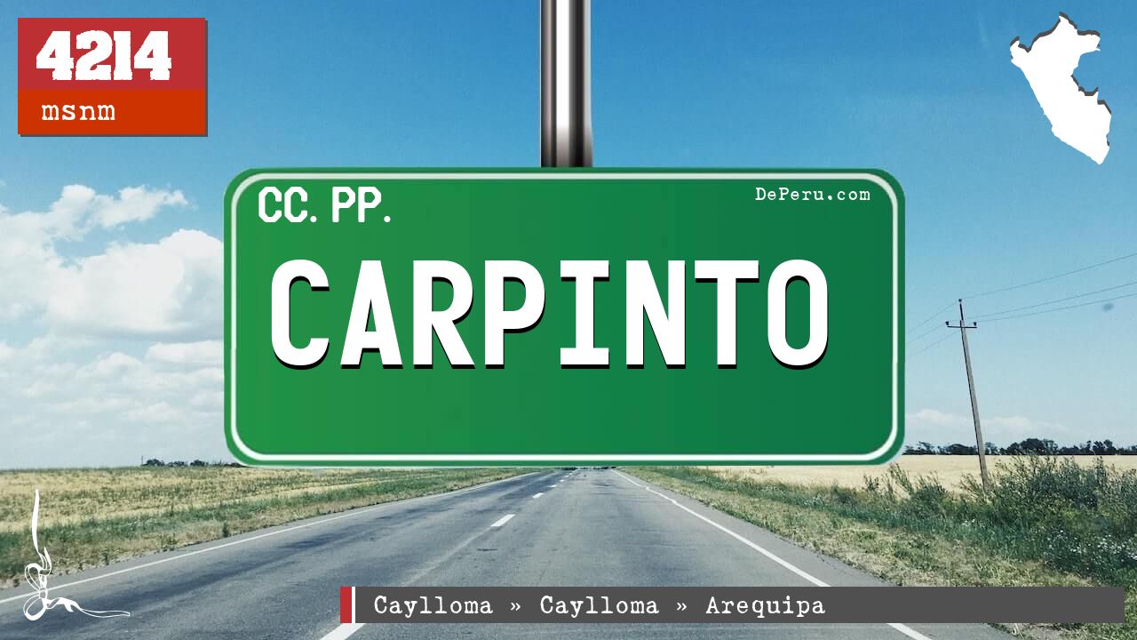 CARPINTO