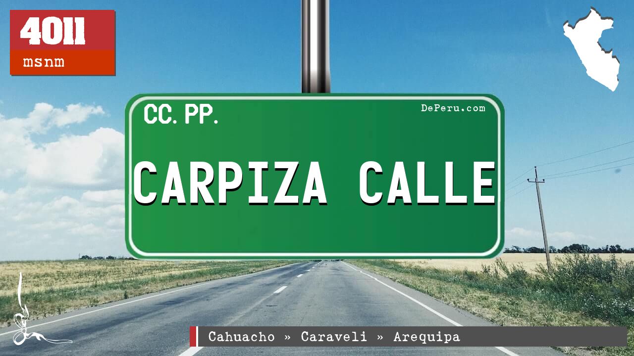 CARPIZA CALLE