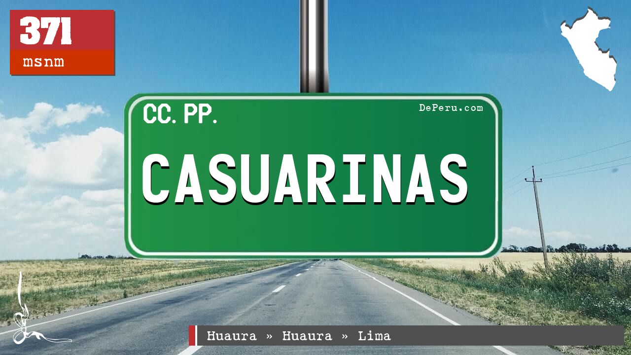 Casuarinas