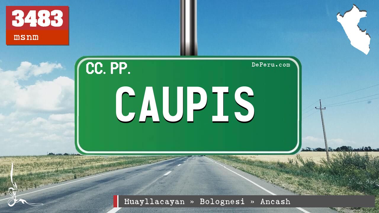 Caupis