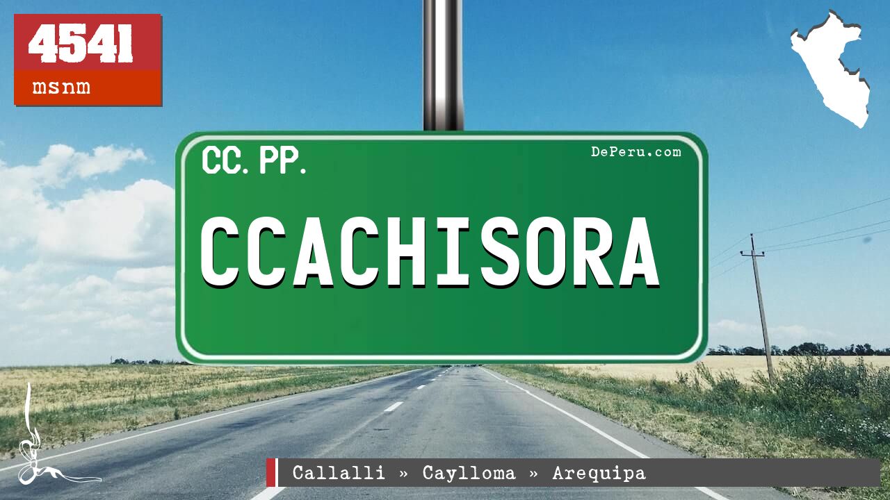 Ccachisora