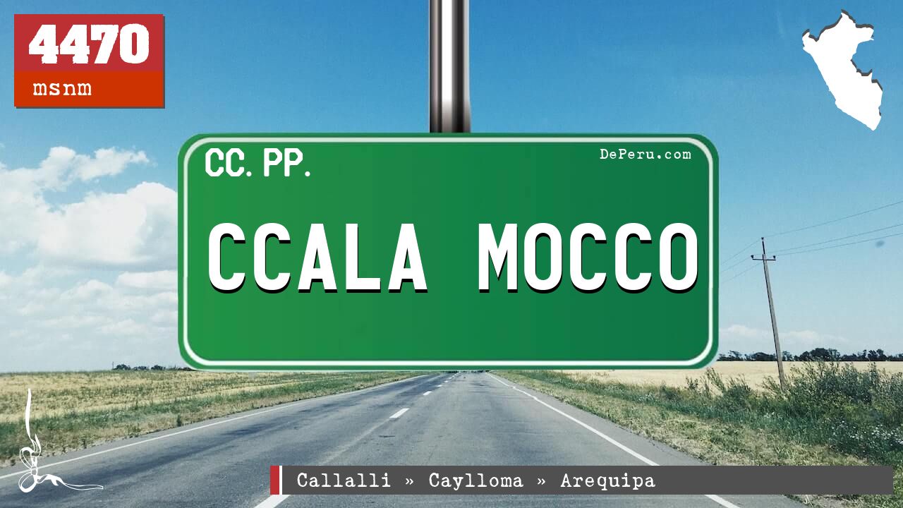 Ccala Mocco