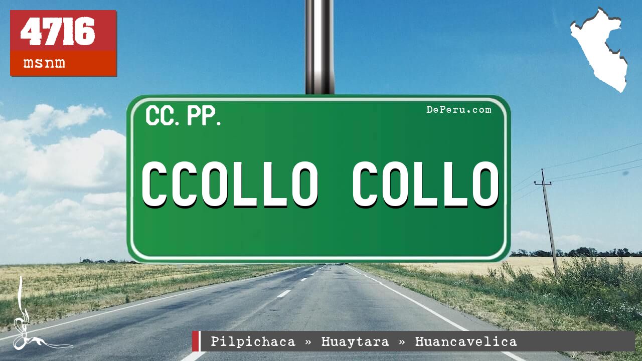 CCOLLO COLLO