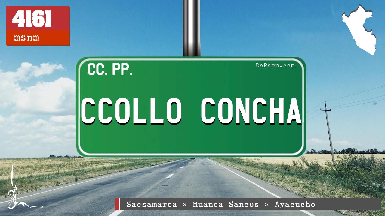 CCOLLO CONCHA