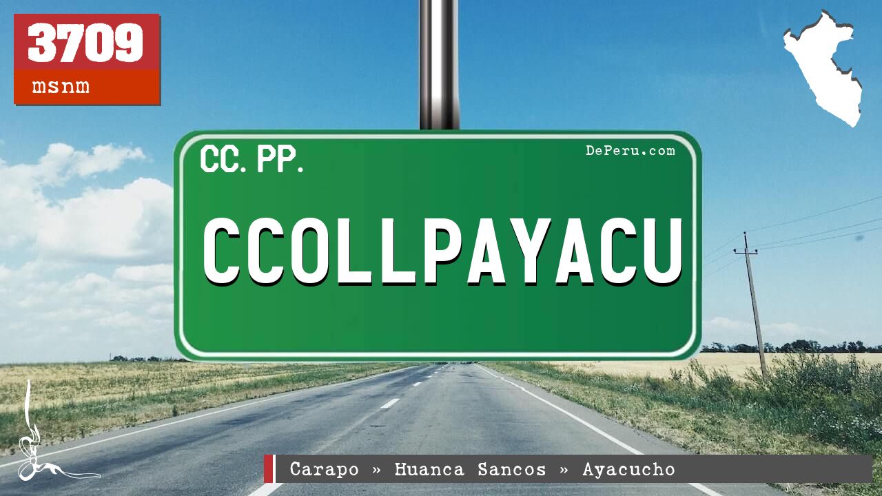 CCOLLPAYACU