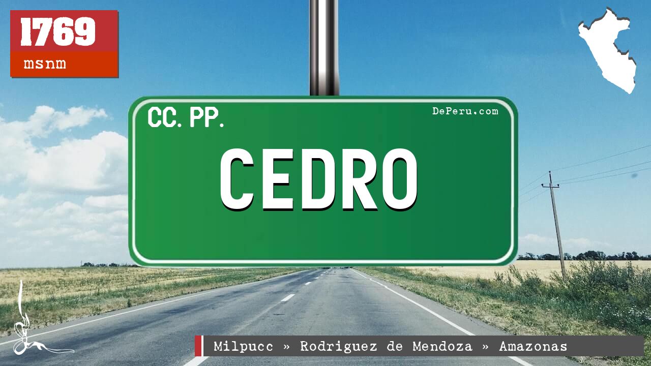 Cedro