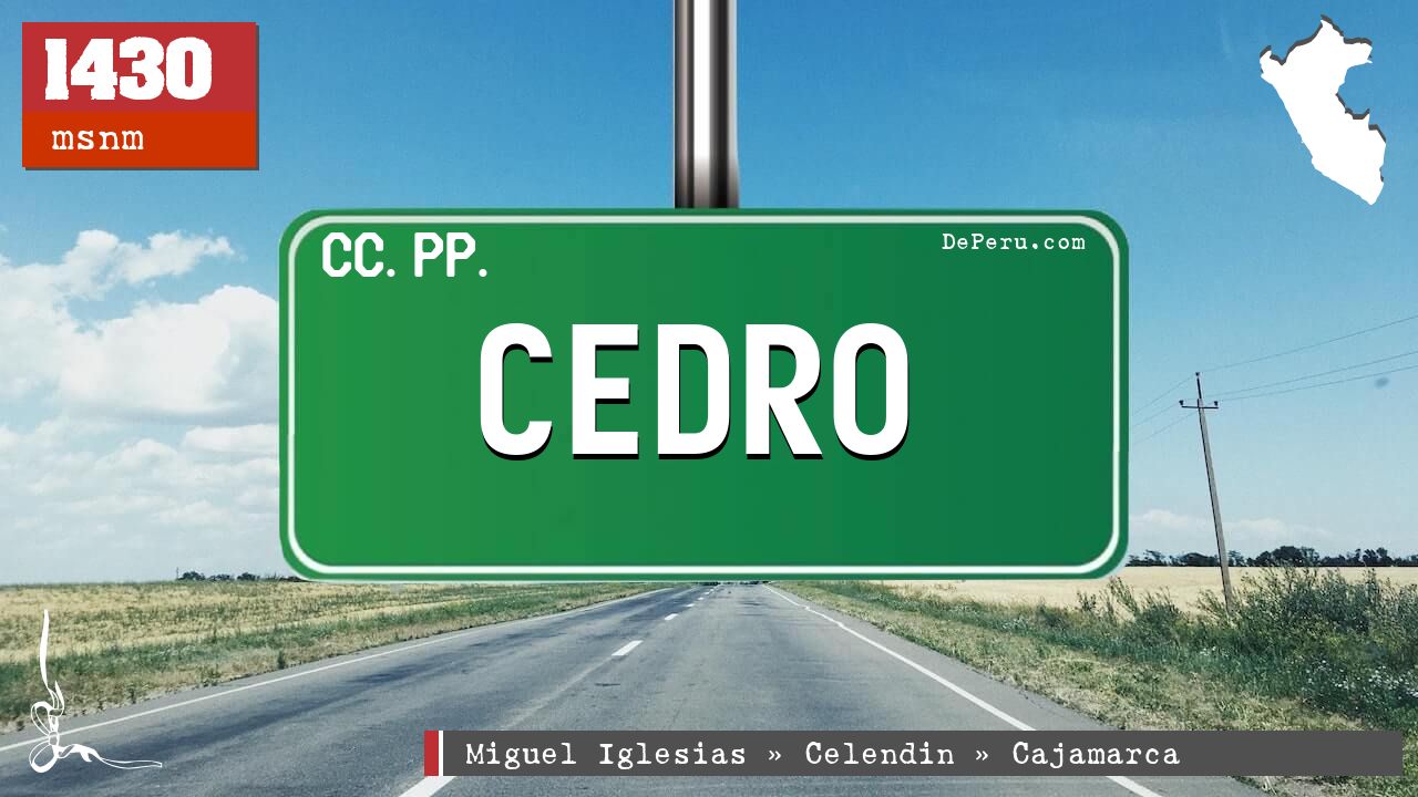 Cedro