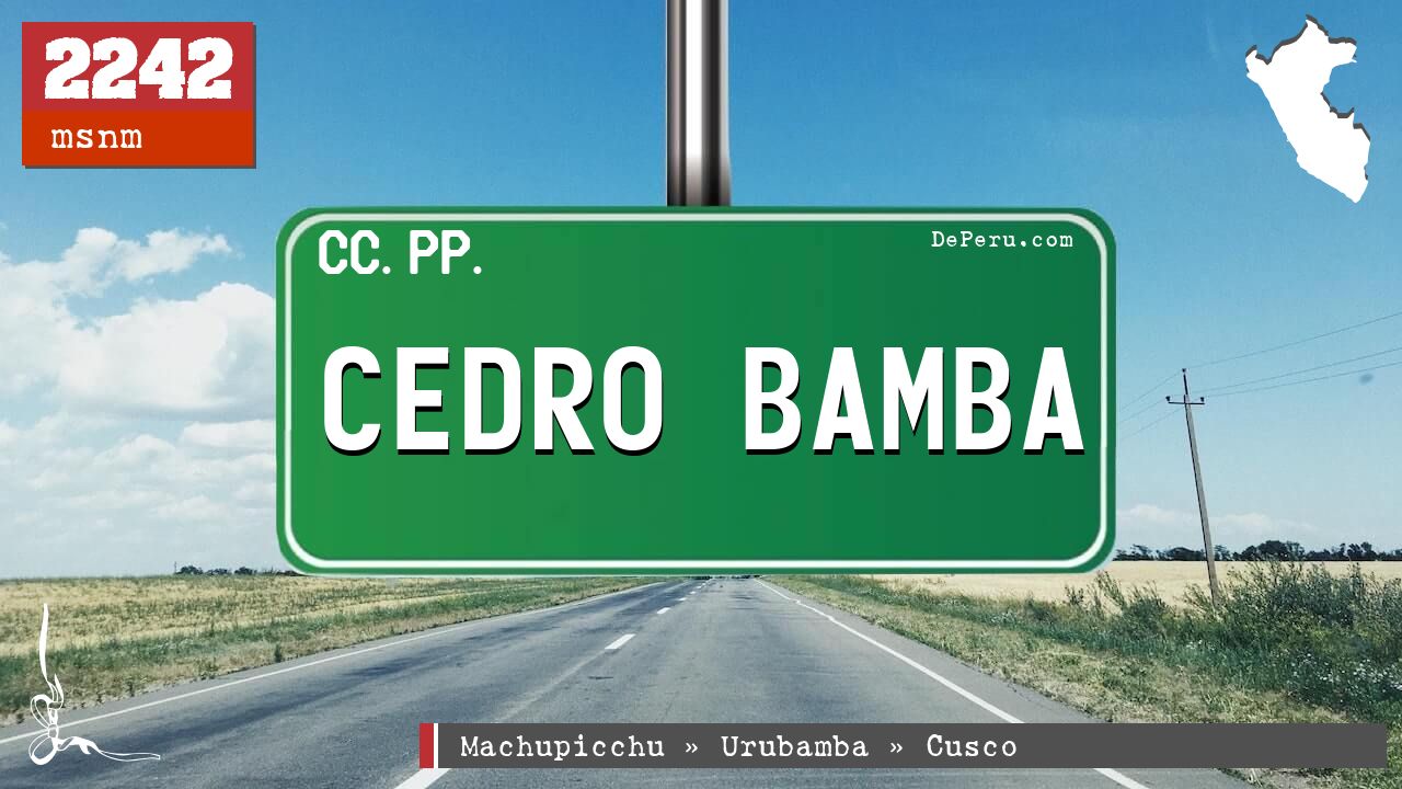 CEDRO BAMBA