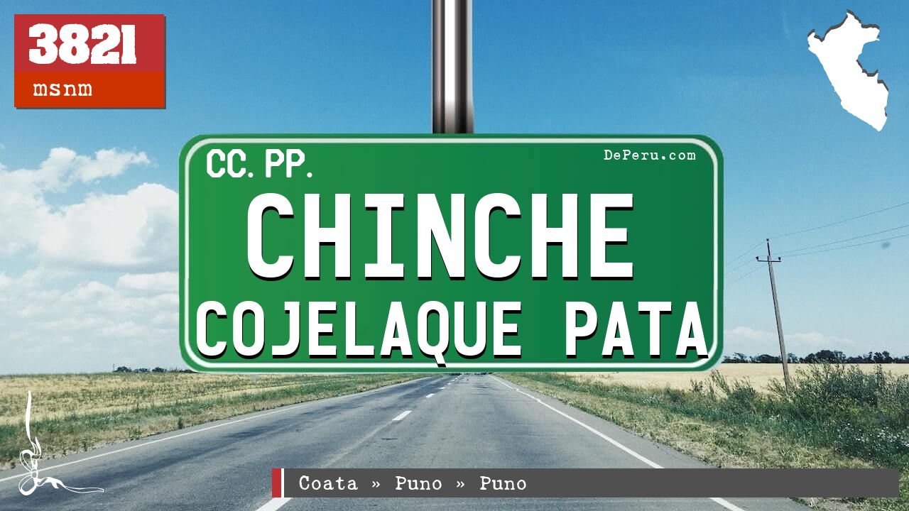 Chinche Cojelaque Pata
