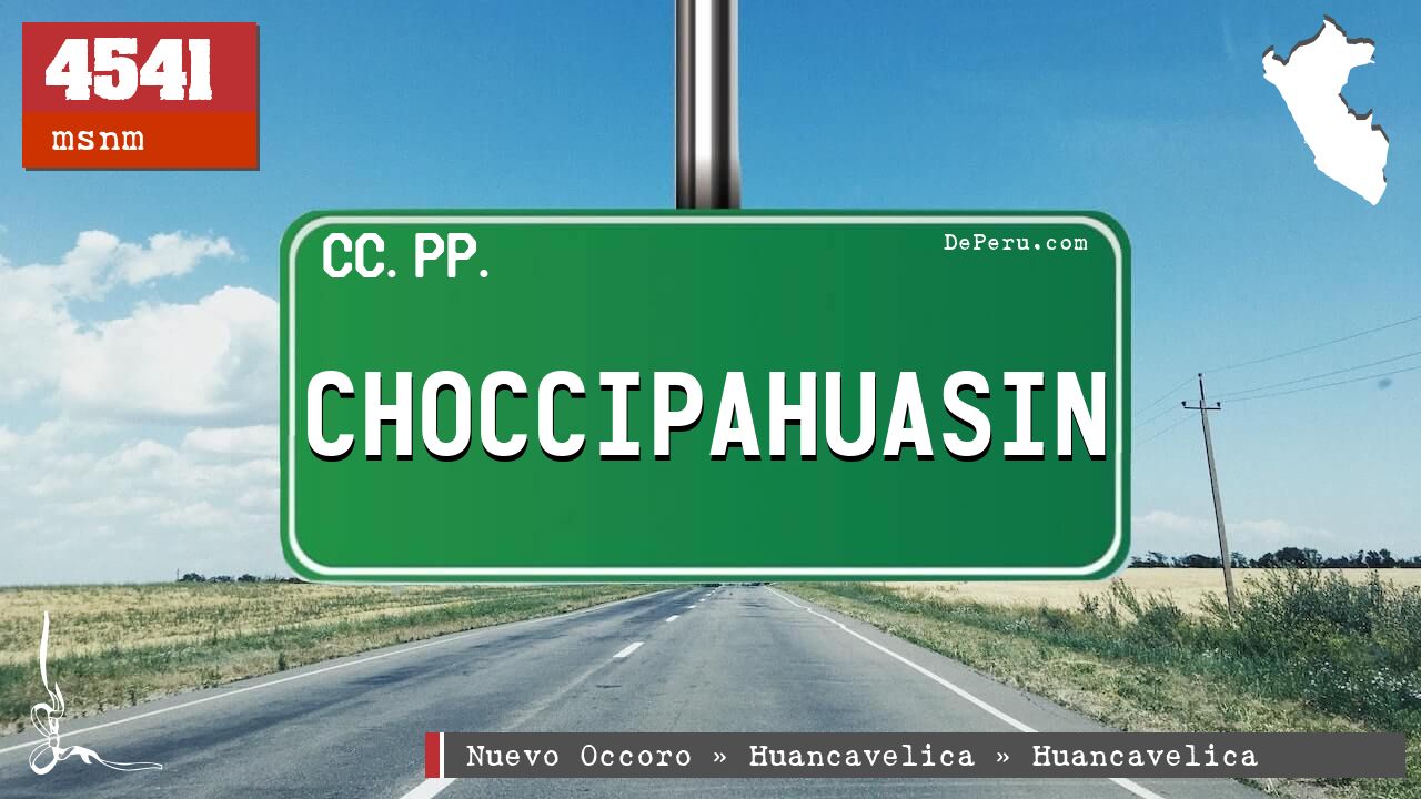 Choccipahuasin