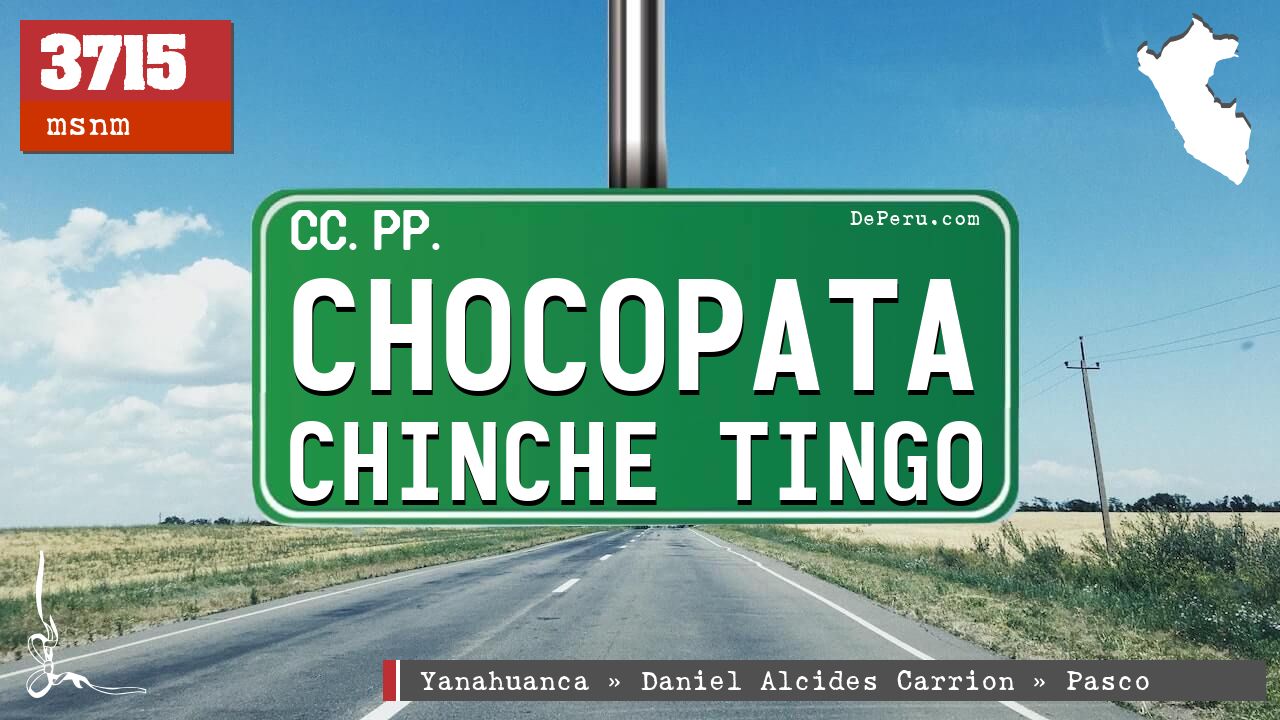 Chocopata Chinche Tingo