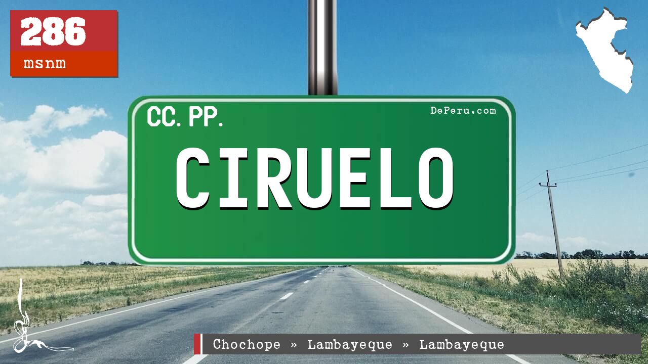 CIRUELO