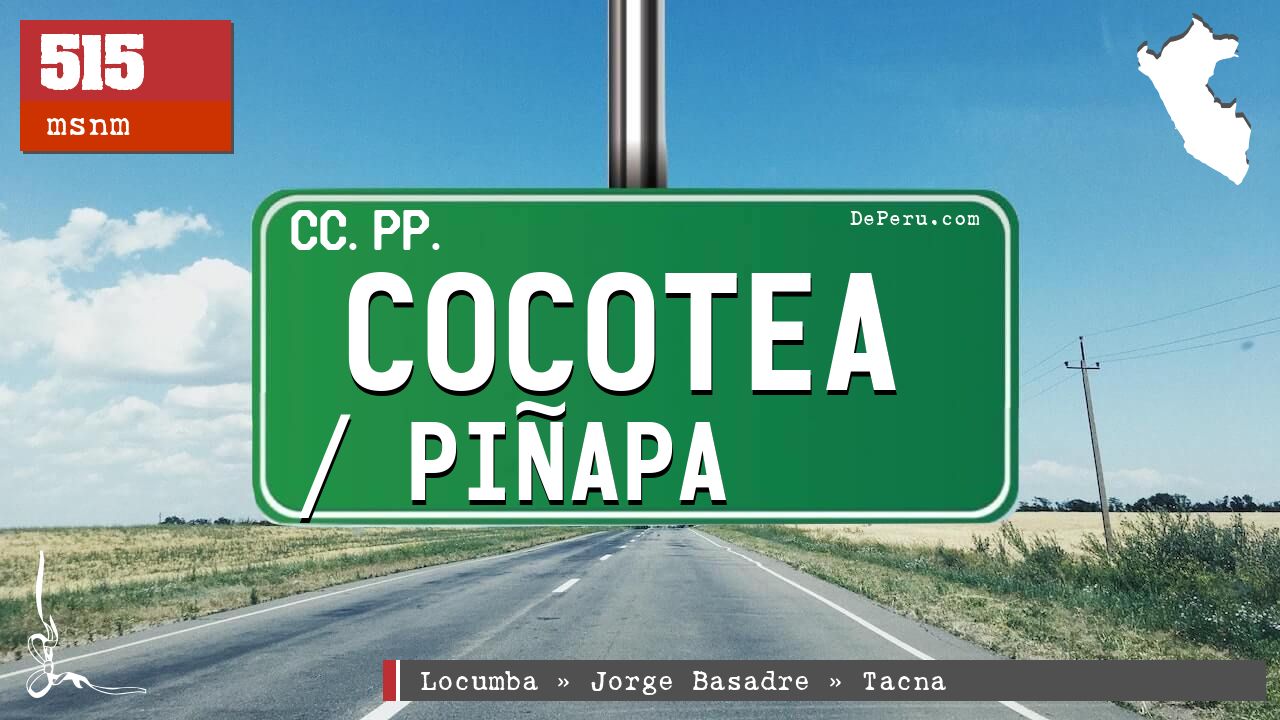 Cocotea / Piapa