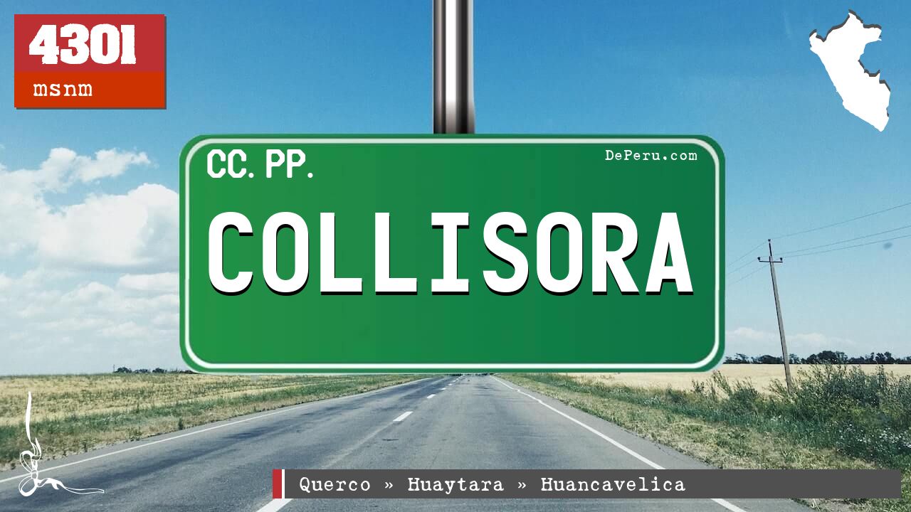 COLLISORA