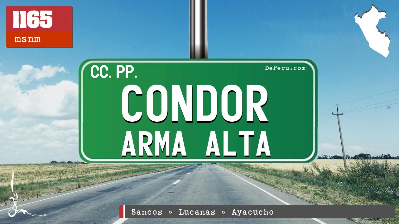 Condor Arma Alta