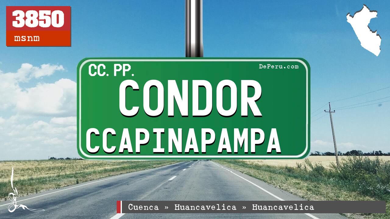 Condor Ccapinapampa