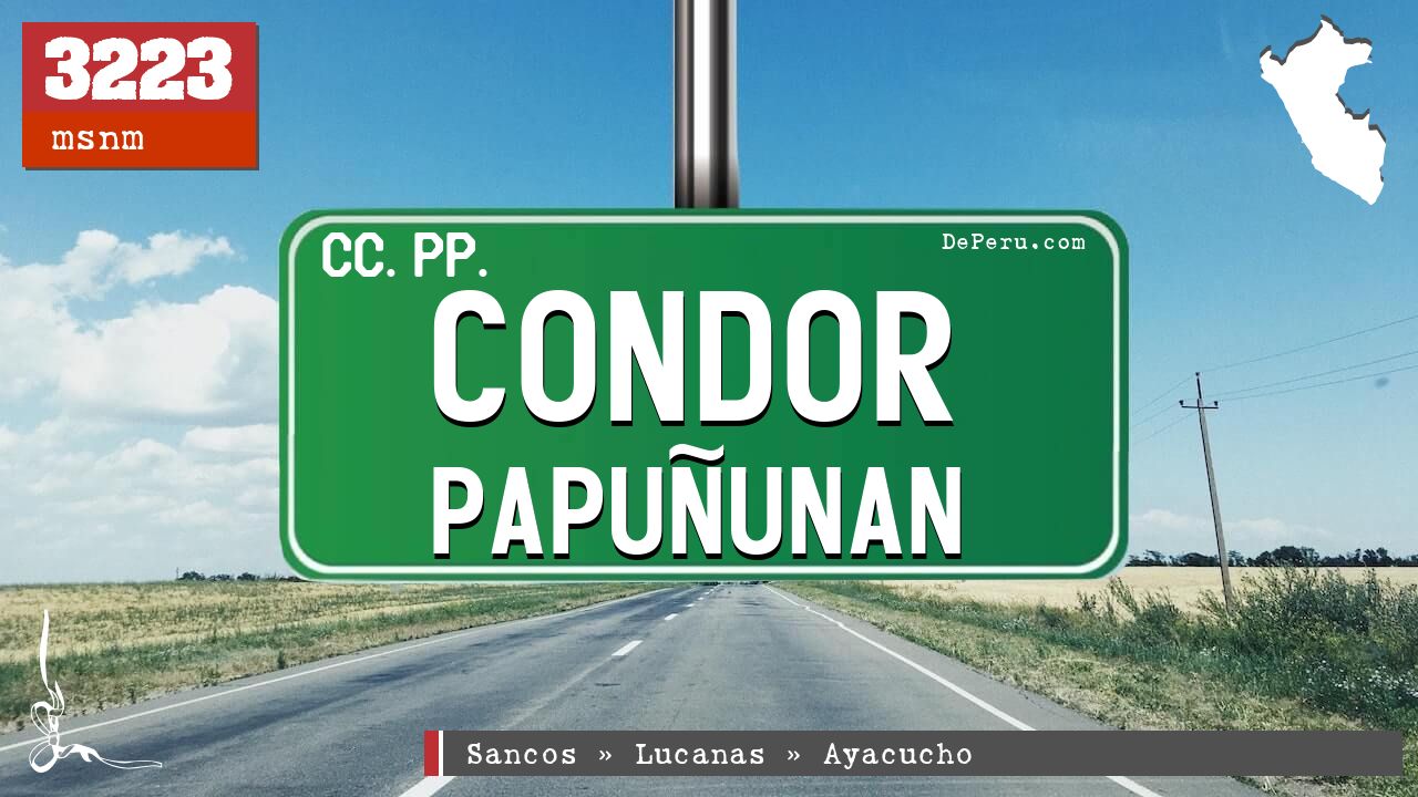 Condor Papuunan