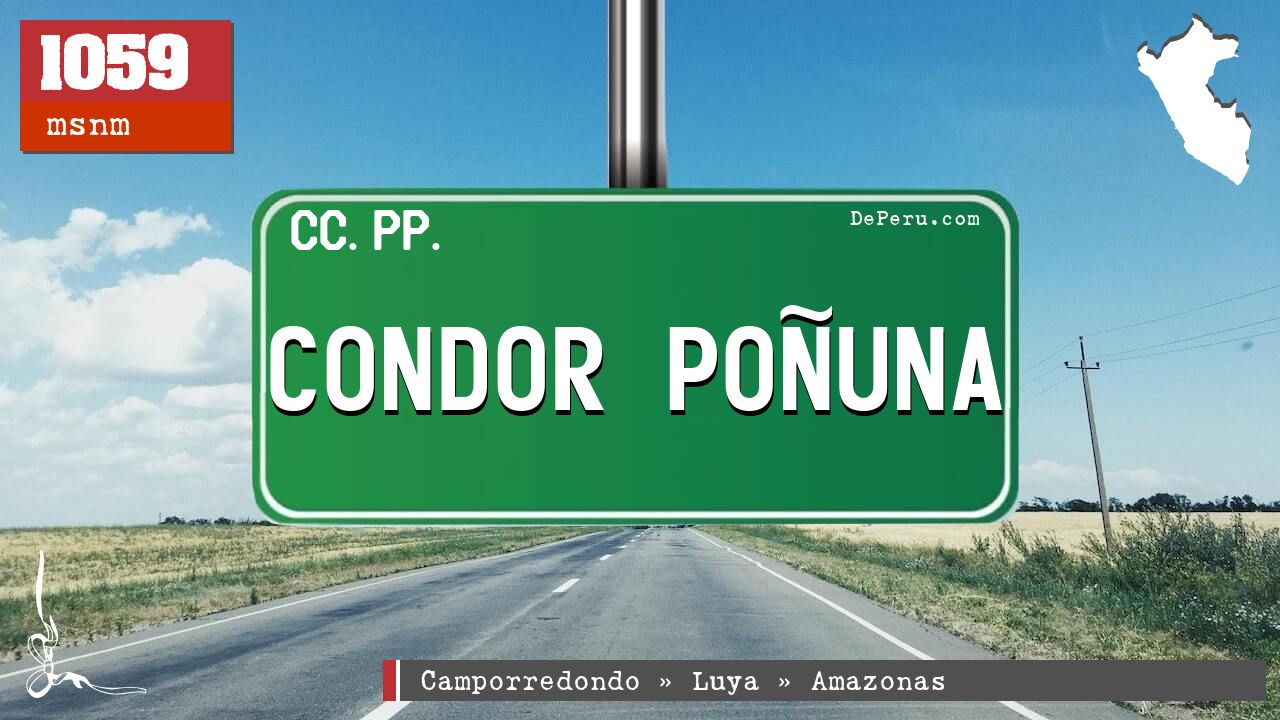 CONDOR POUNA