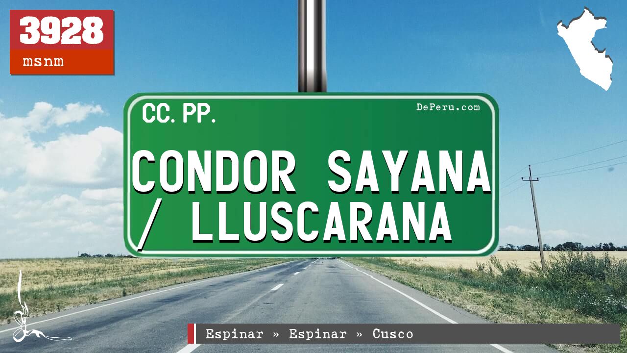 Condor Sayana / Lluscarana