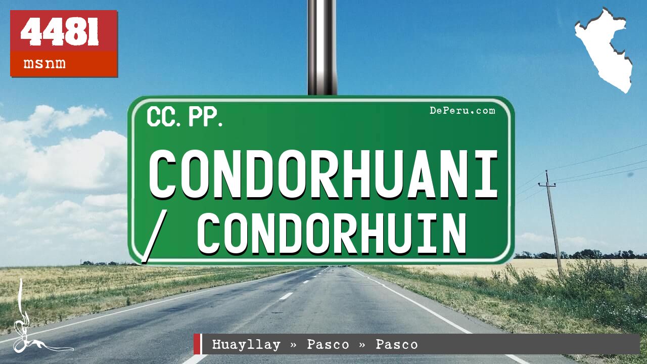 Condorhuani / Condorhuin