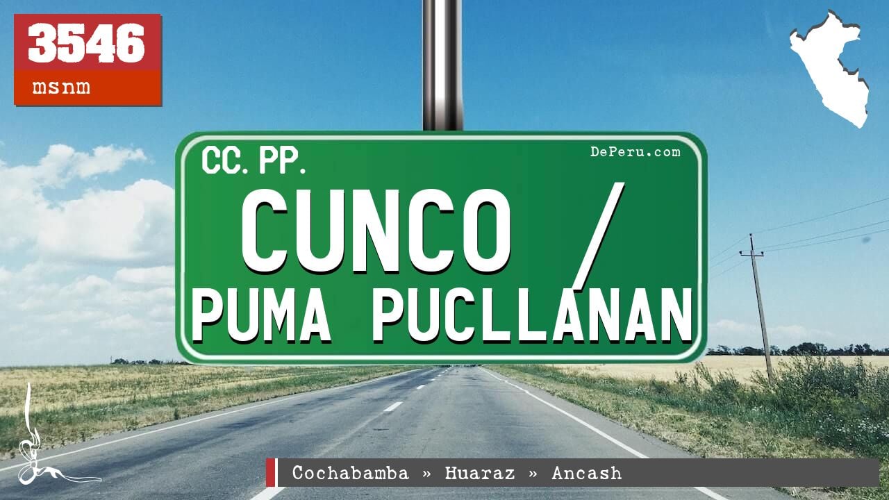 Cunco / Puma Pucllanan