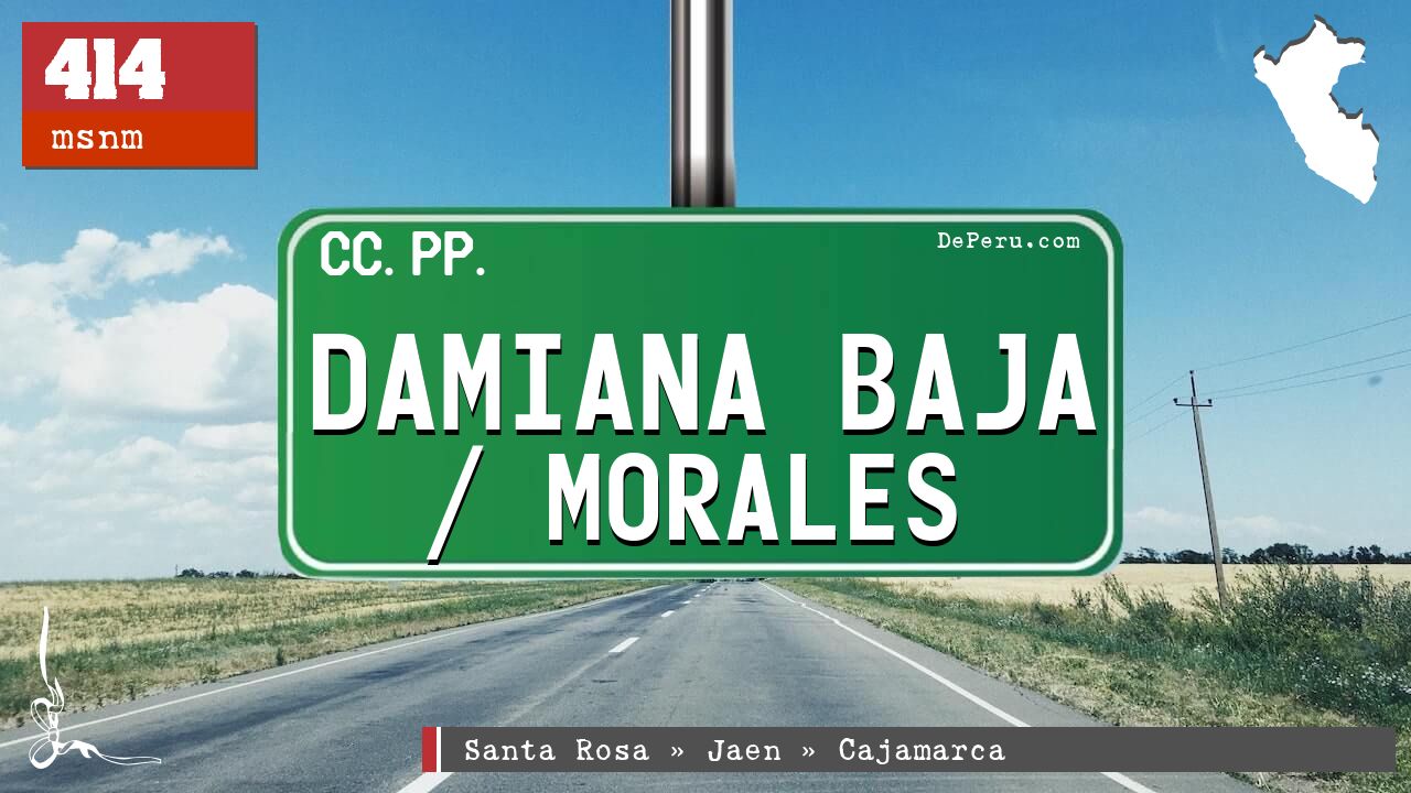 Damiana Baja / Morales