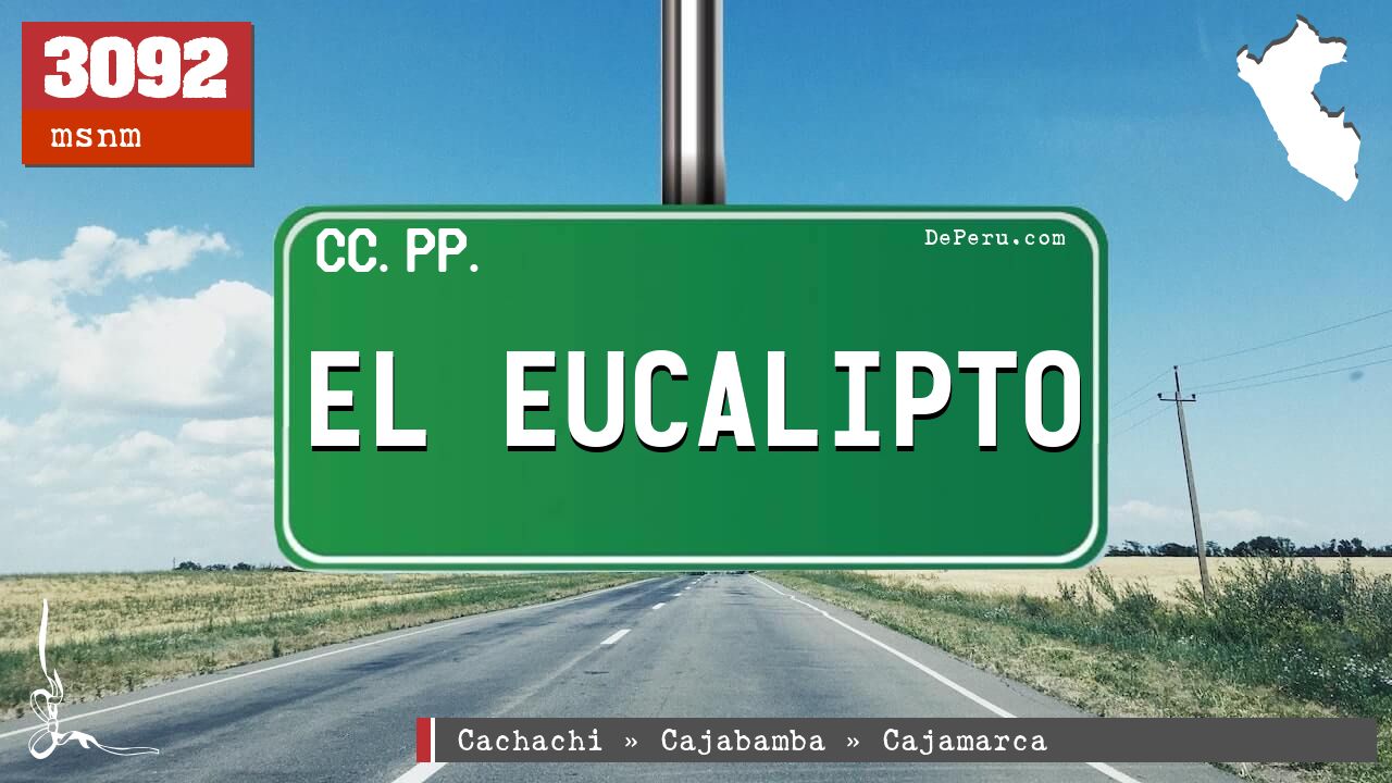 EL EUCALIPTO