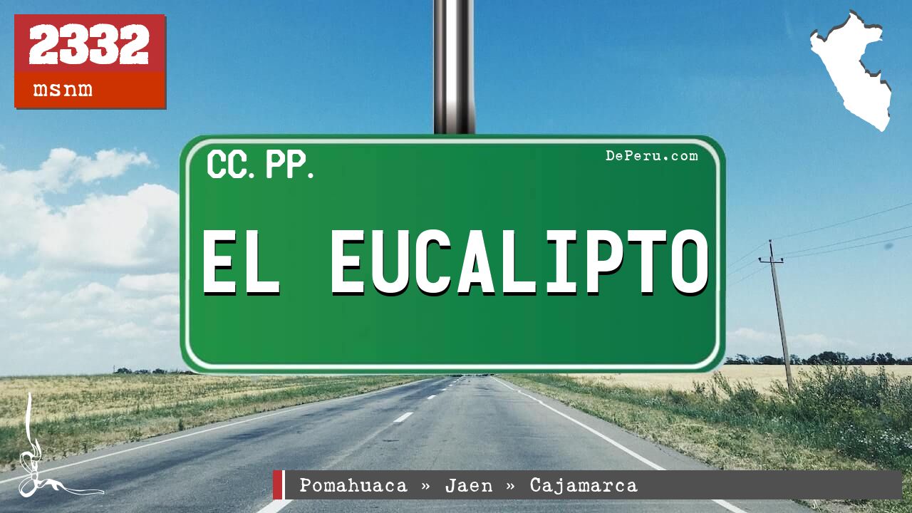 El Eucalipto