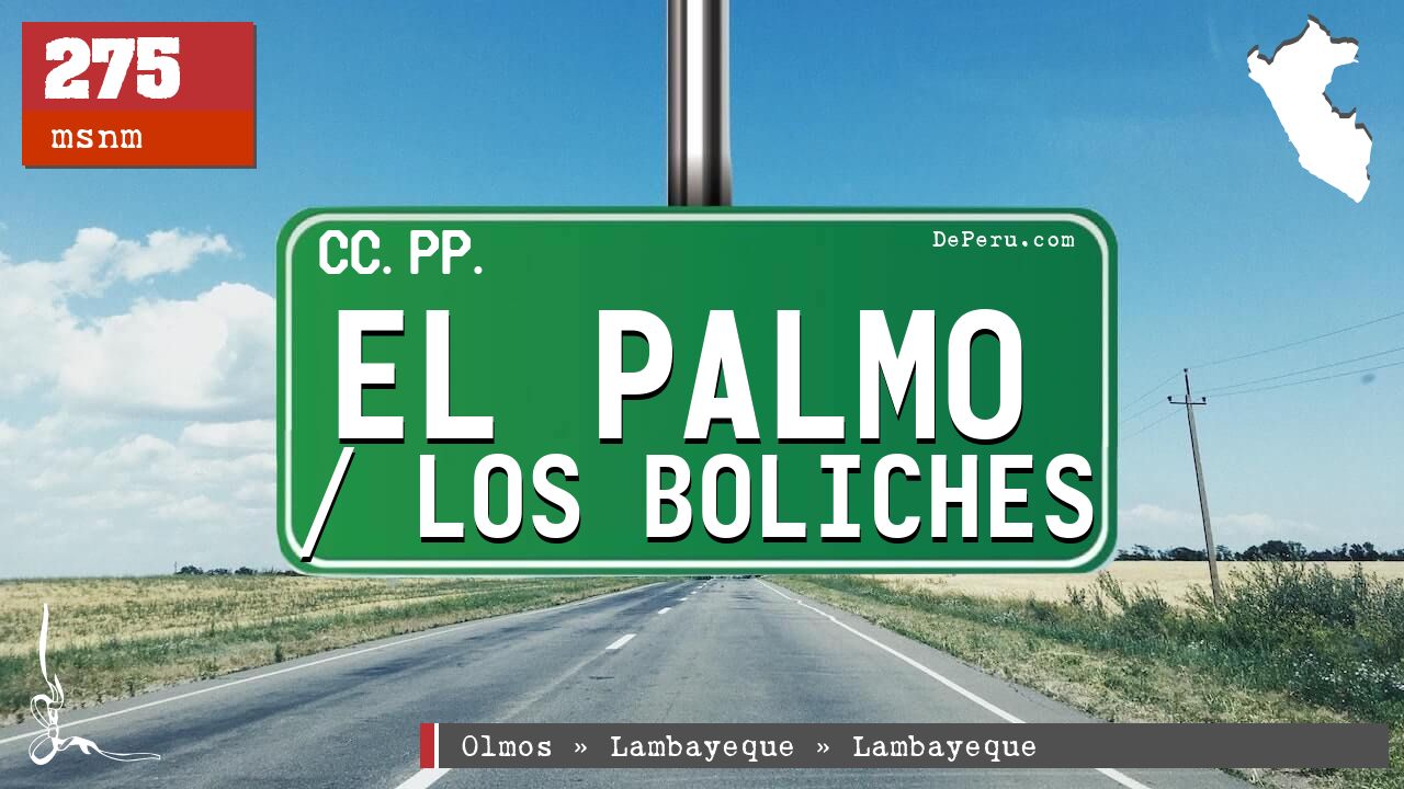 EL PALMO