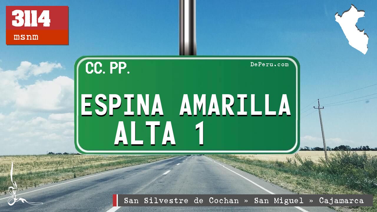 Espina Amarilla Alta 1