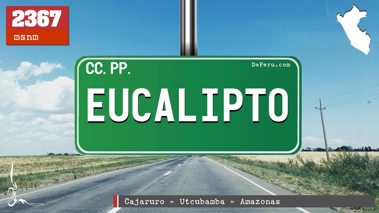 Eucalipto