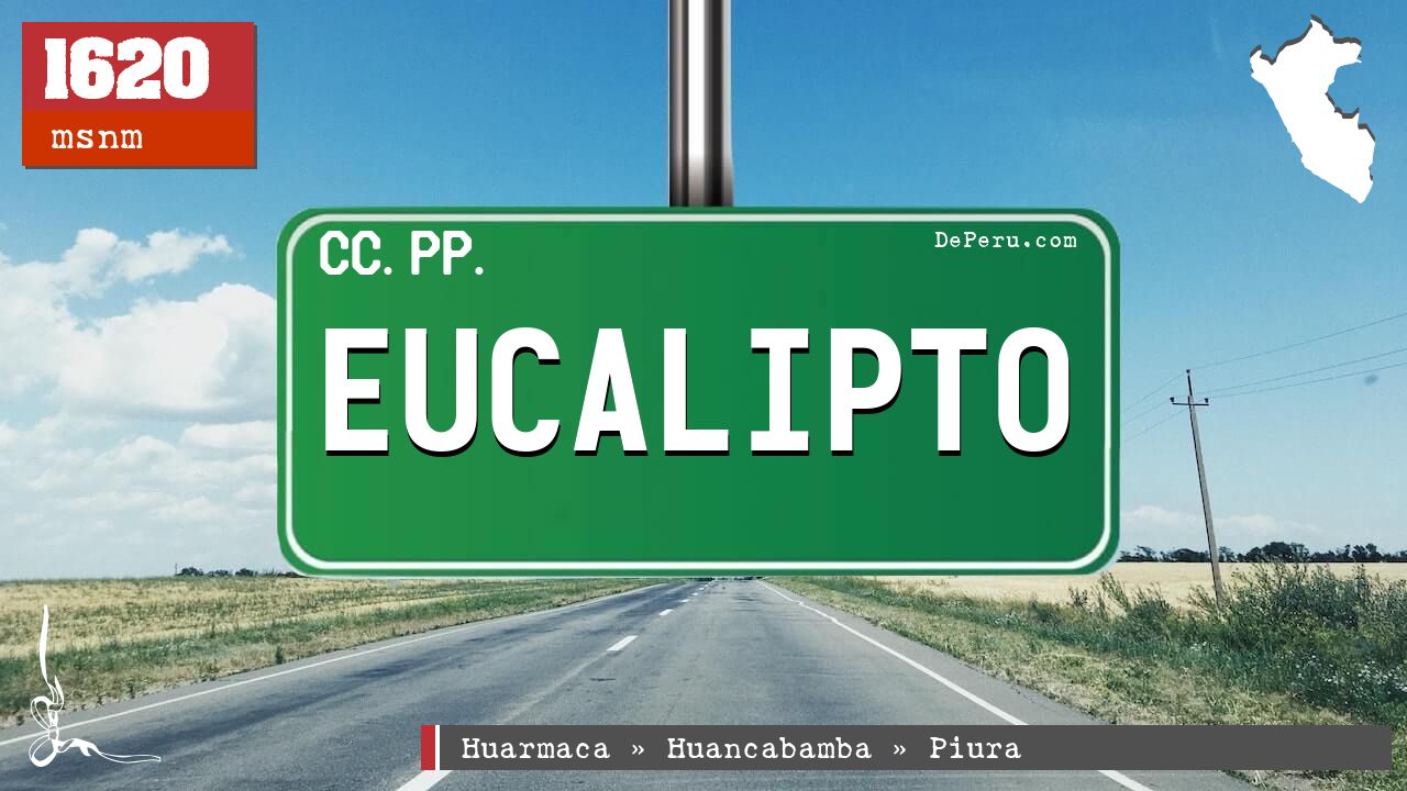 Eucalipto